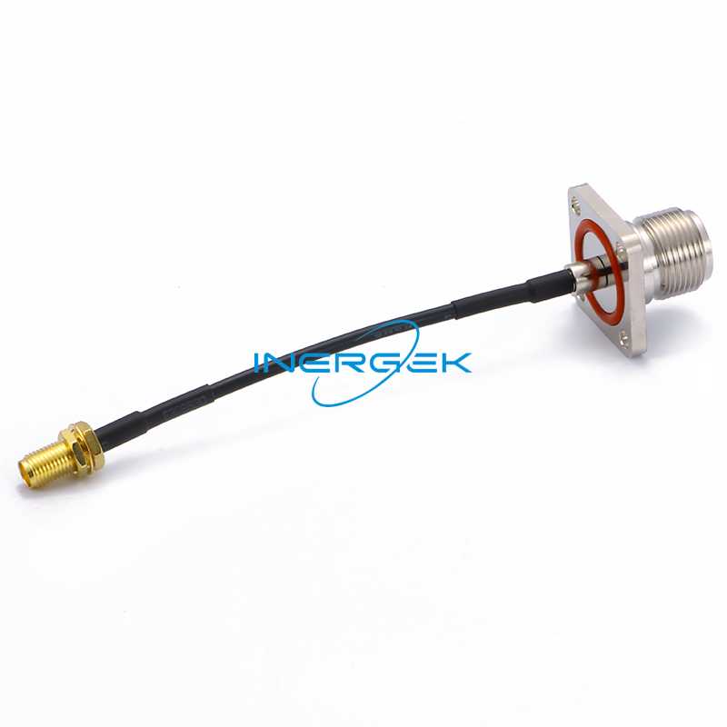 RCA110061